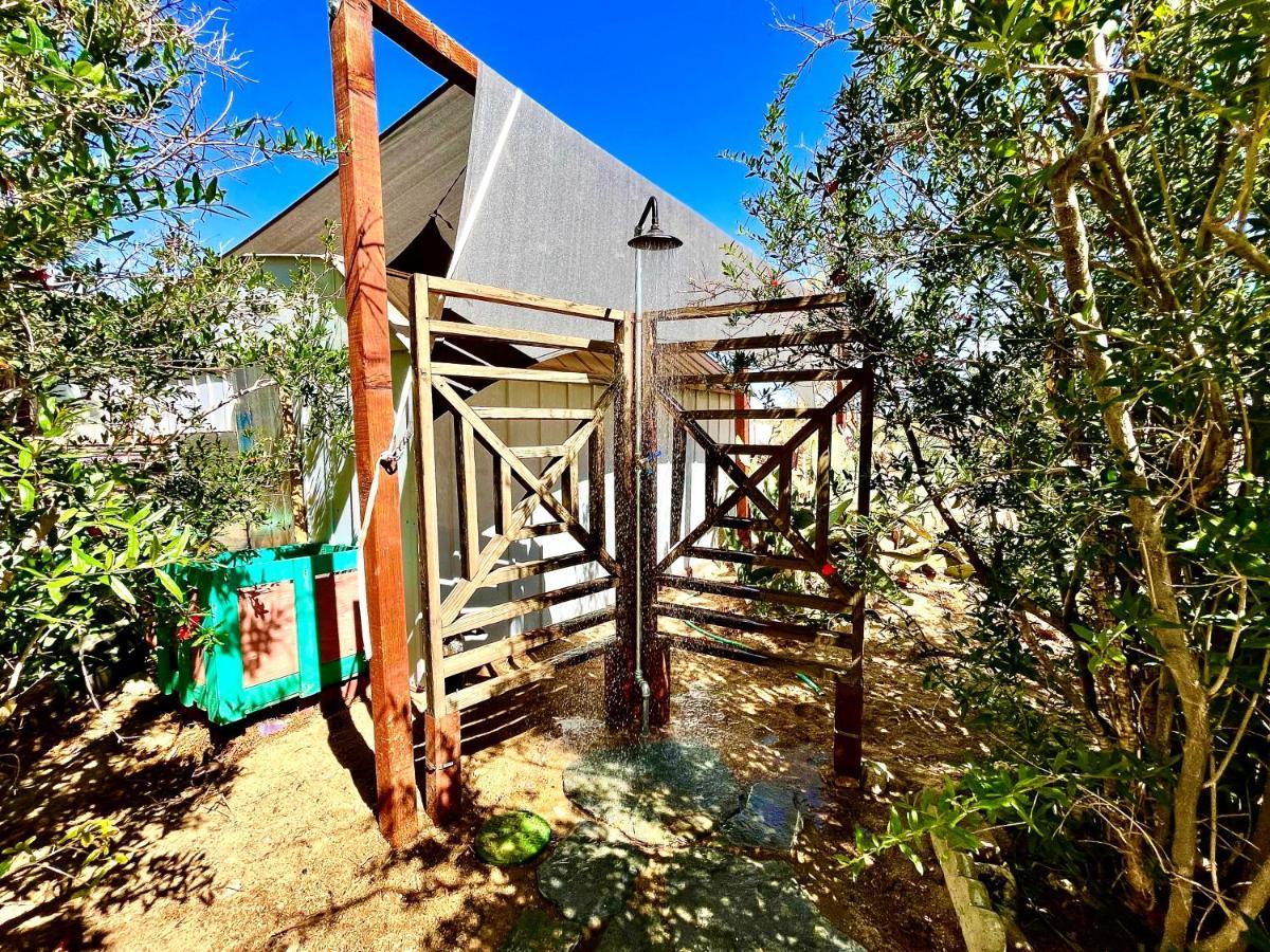 Popular Homestead! Location, Stargaze, Views! 조슈아 트리 외부 사진