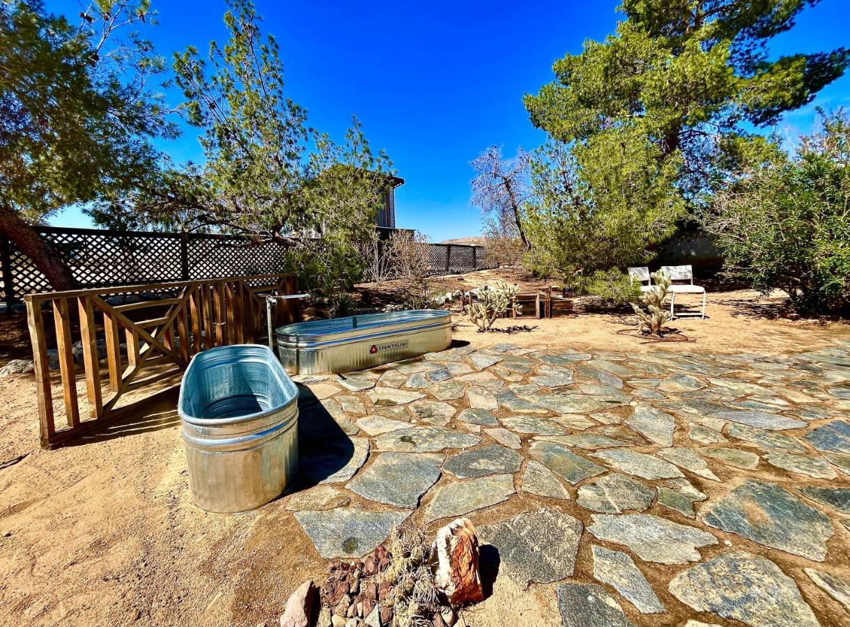 Popular Homestead! Location, Stargaze, Views! 조슈아 트리 외부 사진
