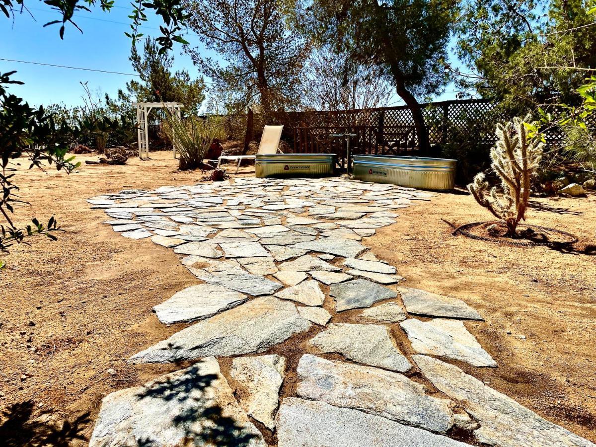 Popular Homestead! Location, Stargaze, Views! 조슈아 트리 외부 사진