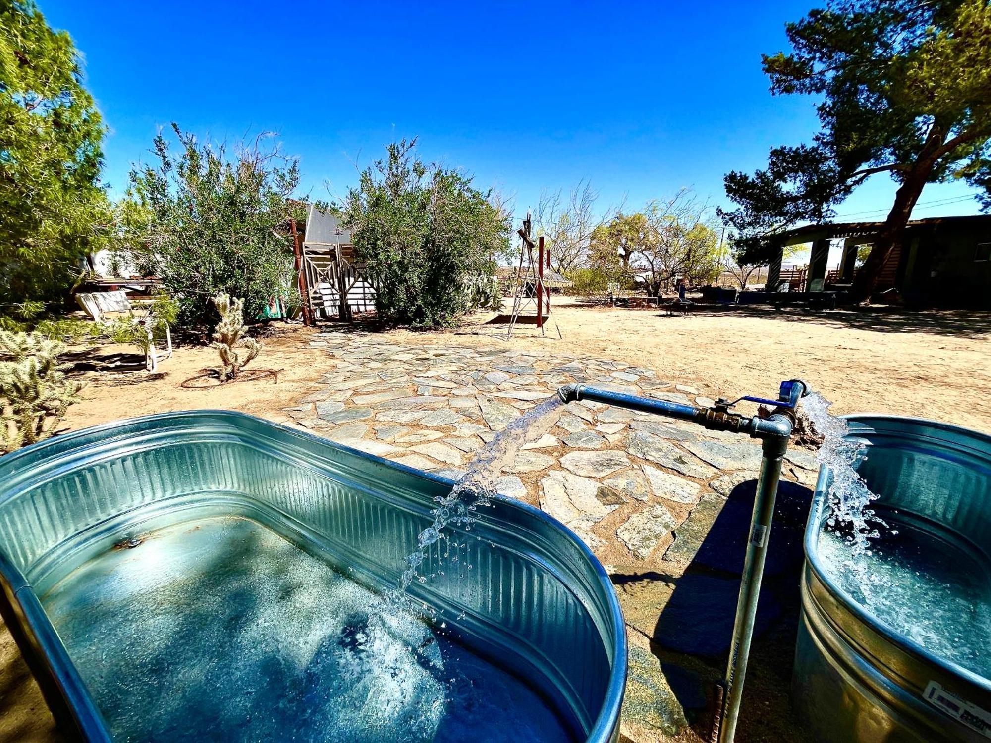 Popular Homestead! Location, Stargaze, Views! 조슈아 트리 외부 사진